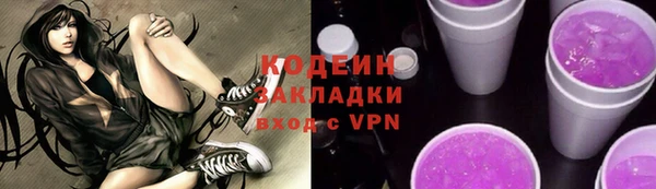 молекула духа Бородино