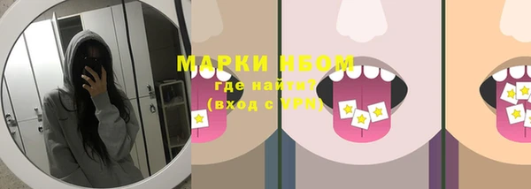 молекула духа Бородино