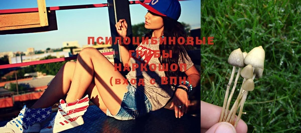 стаф Бронницы