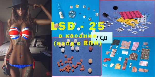 молекула духа Бородино