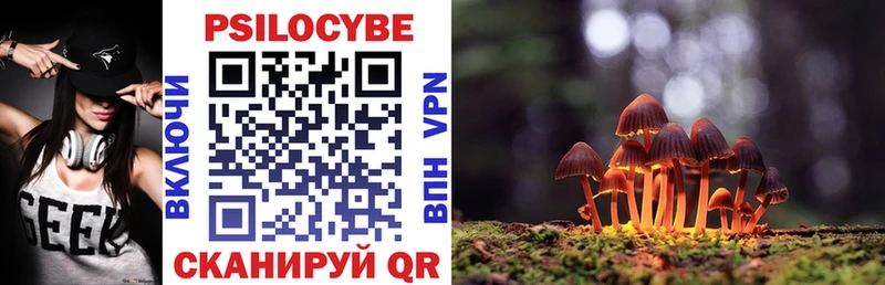 Псилоцибиновые грибы Psilocybe кракен онион Кузнецк